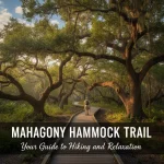 Mahogany Hammock Trail: Your Guide to Hiking and Relaxation